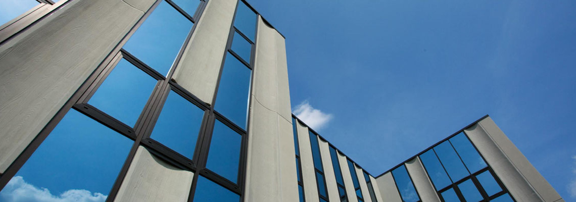 Azienda